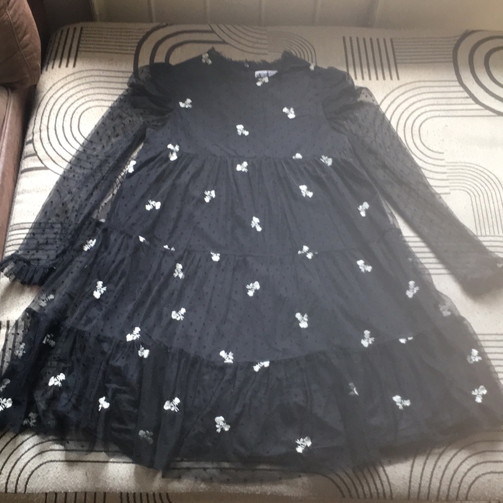 EUC Zara mesh tulle embroidered dress